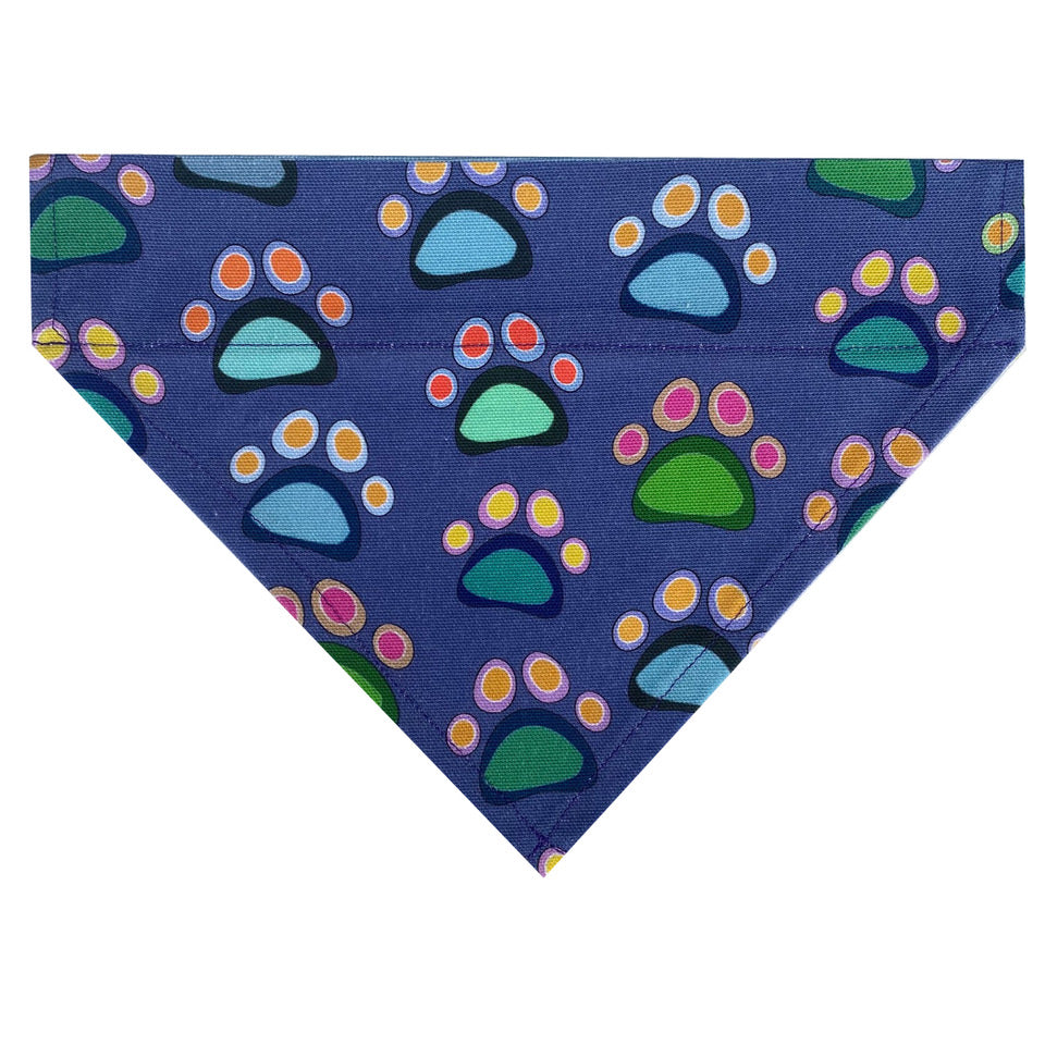 RAINPAW DOG BANDANA